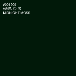#001909 - Midnight Moss Color Image